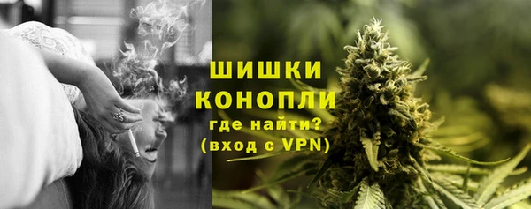 бошки Белокуриха