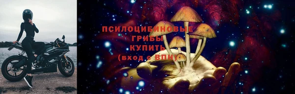 стаф Беломорск