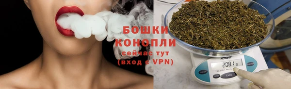 бошки Белокуриха