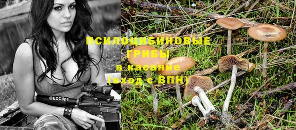 бошки Белокуриха