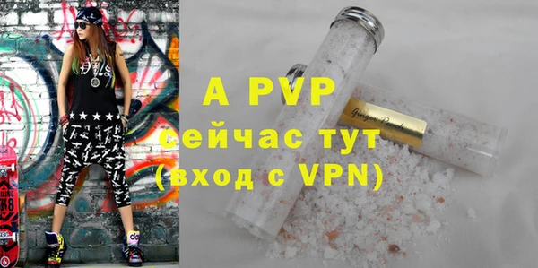молекула духа Белоозёрский