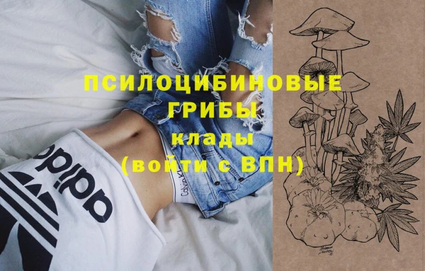 твердый Сосновый Бор