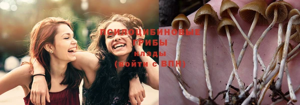 молекула духа Белоозёрский