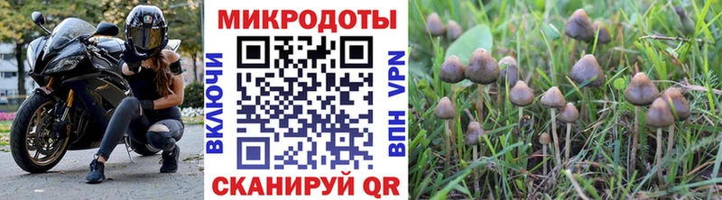 как найти закладки Жуковка Псилоцибиновые грибы прущие грибы