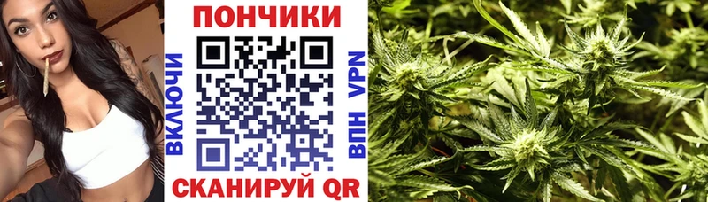 Бошки Шишки SATIVA & INDICA  даркнет Telegram  Жуковка 